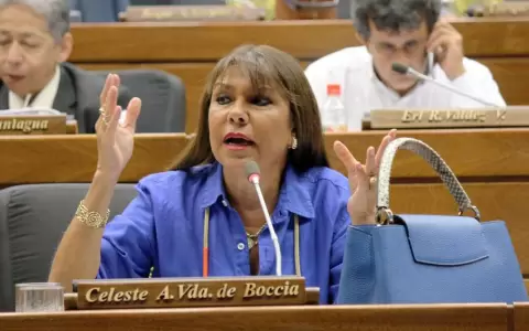 Celeste Amarilla: �Euclides Acevedo es un plan b del partido colorado�