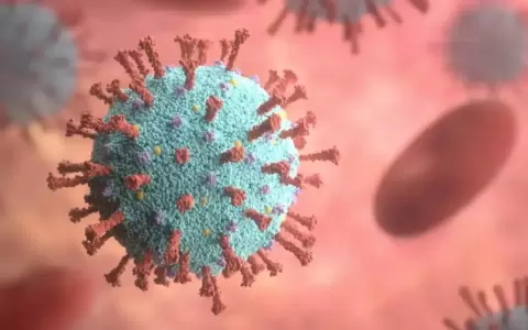 La viruela del mono se propaga por 18 pa�ses