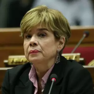 Desir�e Masi cree que pedido de intervenci�n a CDE busca debilitar a la oposici�n
