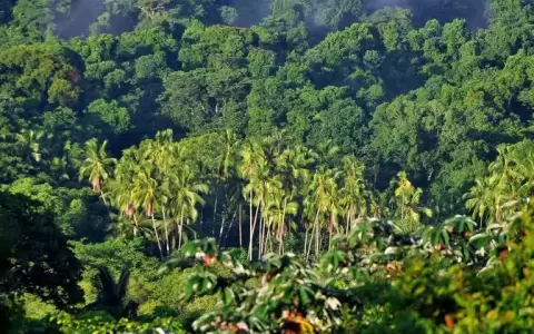 C�mo la tecnolog�a contribuye y apoya al cuidado del medio ambiente