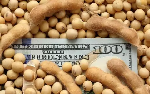 Precio internacional de la soja en m�ximos hist�ricos