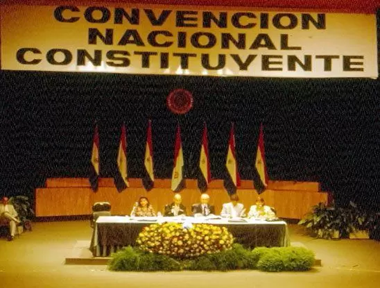 La Constituci�n Nacional cumple tres d�cadas de vigencia