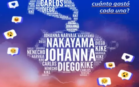 TEDIC revela informe sobre gasto en propaganda electoral v�a Facebook