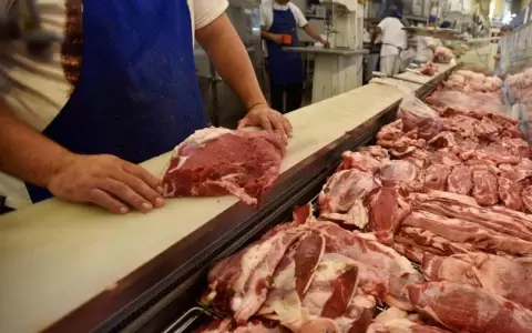 Exportaci�n de carne bovina: 128.000 toneladas en lo que va del 2022