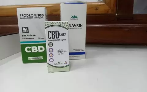 Empresas interesadas en proveer cannabis medicinal deben contar con licencia