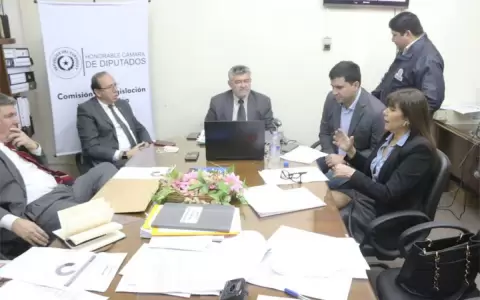 Director de Itaip� pide rechazar millonario pago a exobreros