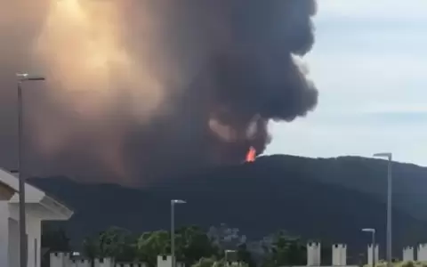 Arrasa un incendio en M�laga y obliga a evacuar a 3.000 personas
