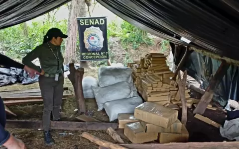 Anulan 1,5 toneladas de droga de campamentos narcos en Concepci�n