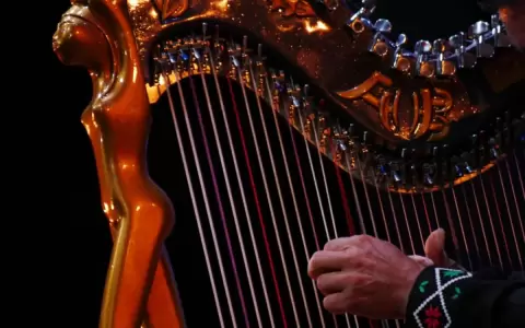 Concierto y lanzamiento de libro en el D�a del Arpa Paraguaya