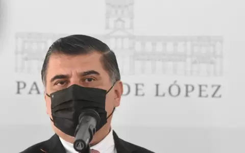 Borba confirma su candidatura al Senado, pero como suplente