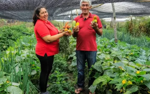 Tenonder�: miles de familias reciben capital semilla para emprendimientos productivos