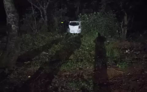Fingen ser pasajeros para robar a conductor de Bolt