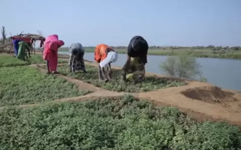 �frica: el hambre y la sequ�a desatan una ola migratoria hacia Europa