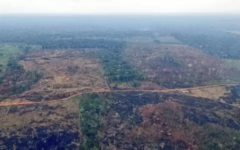 Estados Unidos lanza una propuesta para luchar contra el cambio clim�tico