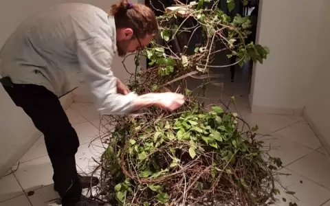 "Afectaciones": muestra de Wolfgang Krauch en F�brica