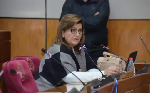Senado realiz� audiencia p�blica sobre proyecto de ley de protecci�n integral a la familia