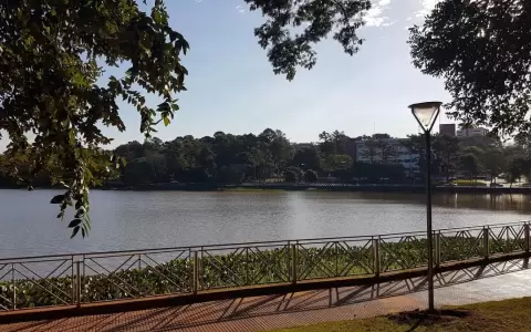 Detectan presencia de metales pesado en el Lago de la Rep�blica