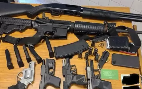 C�mo el Estado m�s poblado de EE.UU. logr� reducir la violencia con armas