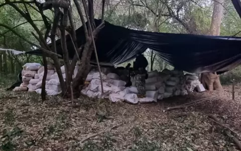 Reportan un muerto en zona de producci�n de marihuana