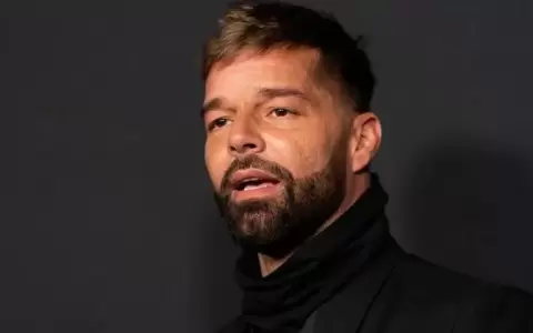 Cu�l ser�a el proceso que enfrentar�a Ricky Martin y la persona que solicit� la orden de protecci�n en su contra