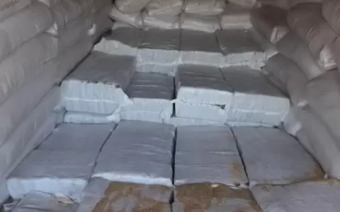 M�s de 5 toneladas de coca�na embarcada en Paraguay fue incautada en B�lgica