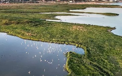 Altas temperaturas para el inicio de la semana