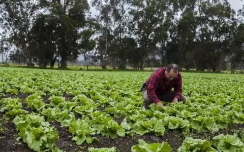 Contribuyen al aumento de la productividad del sector agr�cola en Paraguay