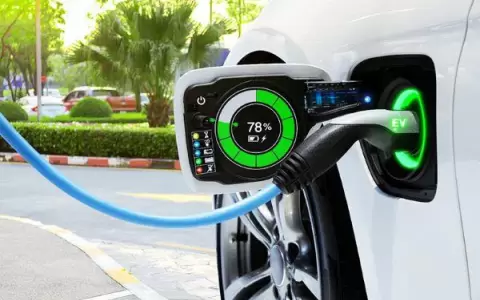 �Qu� hay detr�s del veto a la ley de electromovilidad? Los expertos opinan