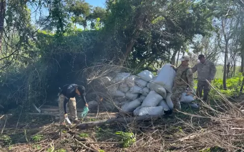 Amambay: detectan cerca de 5,5 toneladas de marihuana en zona rural