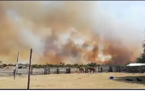 Incendio arrasa con 80 hect�reas en Bah�a Negra