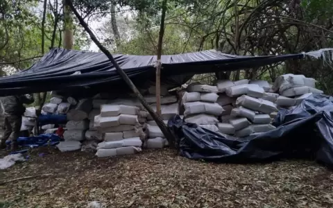 Incautan 20 toneladas de marihuana en Amambay