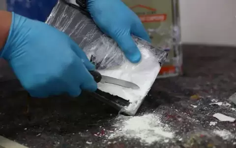La producci�n de coca�na marc� un r�cord global y el consumo se duplic� en Sudam�rica