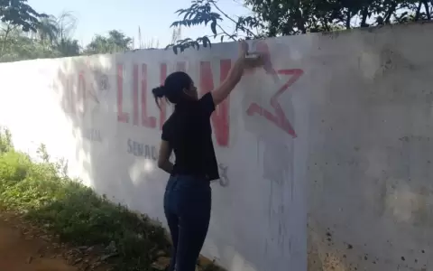 Retiran propaganda electoral extempor�nea