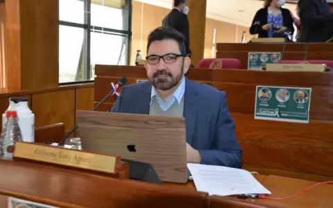 Tony Apuril y Tito Ibarrola anunciaron que dejan el partido Hagamos
