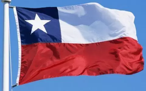 Empieza en Chile la campa�a para el refer�ndum sobre la nueva Constituci�n