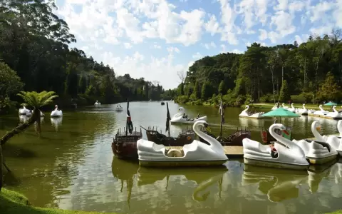 De Encarnaci�n a Gramado en �mnibus: la cr�nica de un viaje en familia