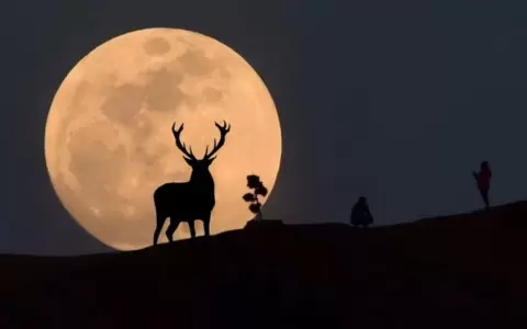 �Qu� es la Superluna de Ciervo y se podr� ver en Paraguay?