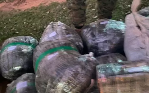 Incautan 180 kilos de marihuana en Canindey�