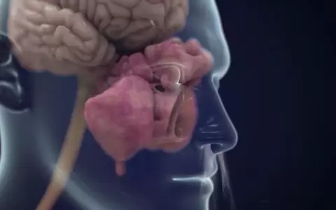 El efecto de los olores: c�mo el olfato controla el comportamiento humano