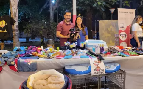 Asepy invita a Mipymes de Concepci�n a participar de Jornadas de Formalizaci�n gratuitas