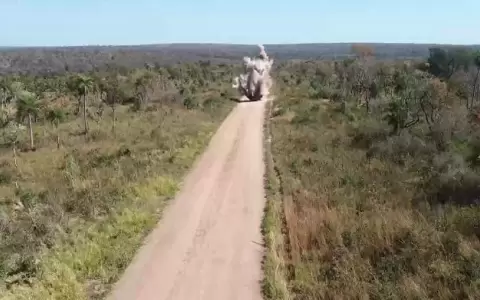 Destruyen pistas clandestinas en Parque Nacional de Concepci�n
