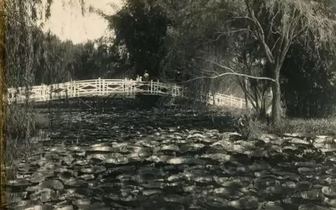 Jardines antiguos del Paraguay. El Bot�nico como patrimonio (III)