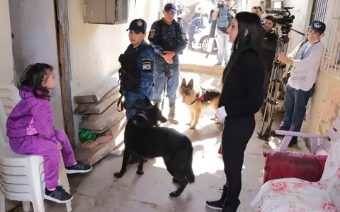 Realizan rastrillaje con canes en busca de ni�o desaparecido