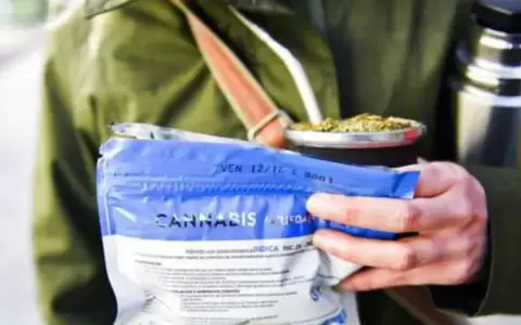 El gobierno uruguayo descarta por ahora la venta de cannabis recreativo a turistas
