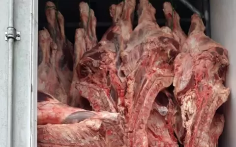 Incautan m�s de 11 toneladas de carne y productos frutihort�colas