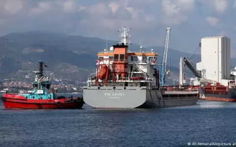 Primer barco con granos ucranianos llega a Turqu�a