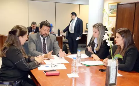 Dictamen de aprobaci�n para que personas con discapacidad puedan ser electores