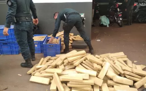 Hallan m�s de 430 kilos de marihuana en una casa abandonada