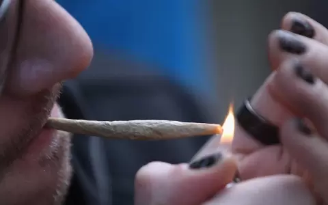 Nuevamente proponen legalizar el cannabis recreativo a trav�s de una ley
