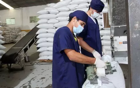 Paraguay concreta primer env�o de ch�a al mercado australiano
